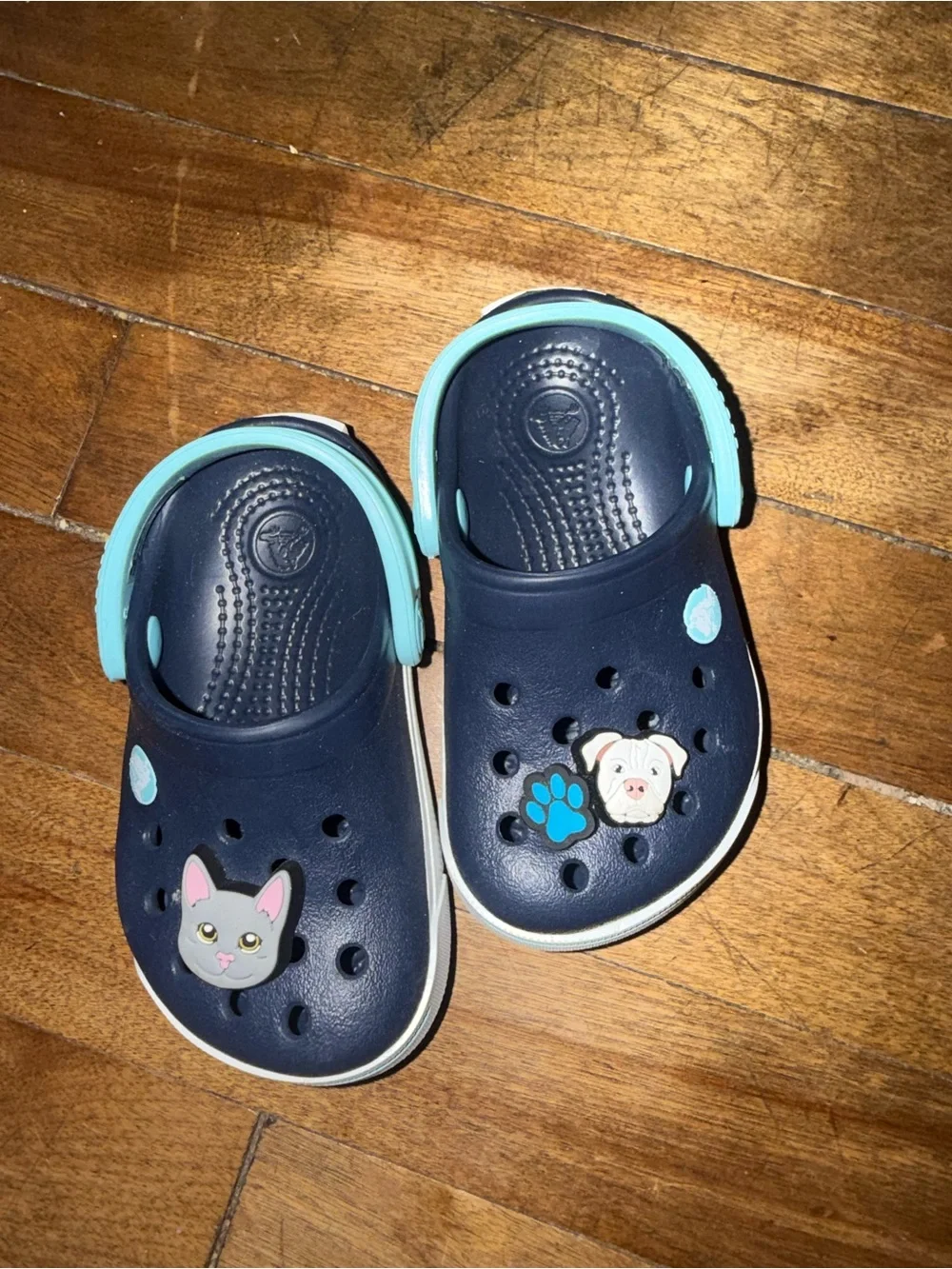 CROCS Navy Clog Sandals with Light Blue Strap and Cute Animal Charms